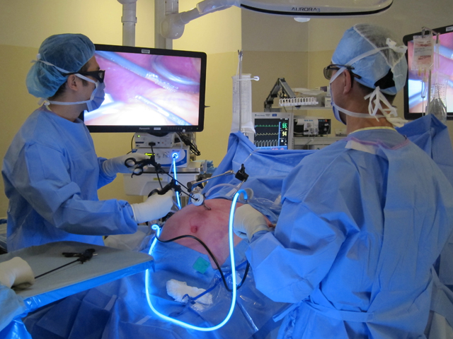 Richmond surgeons perform bariatric surgery using new 3D laparoscope.